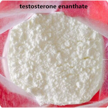 Enantato da testosterona do pó dos esteróides para o Body-Building